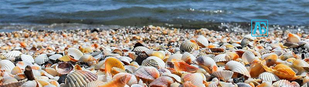 بلیط پرواز رشت عسلویه